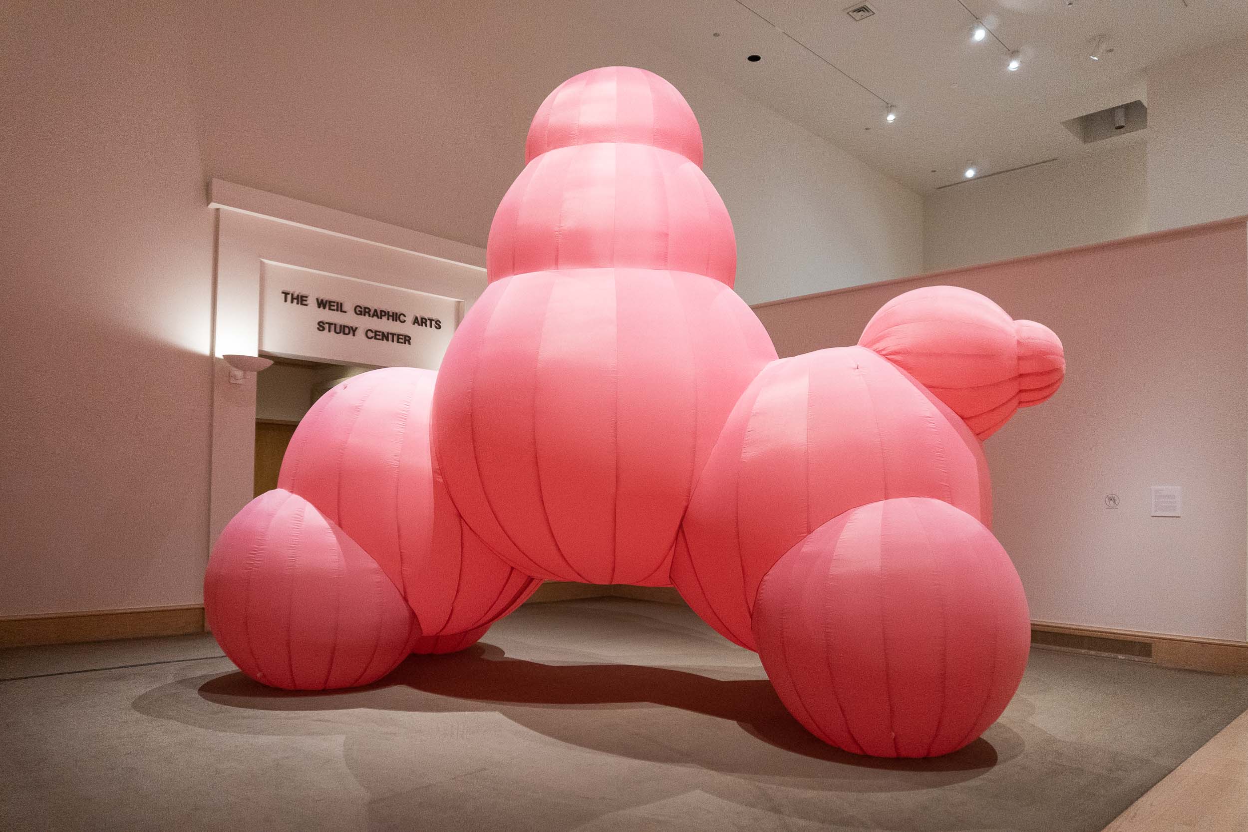 20201030-blow-up-ii-gallery-3